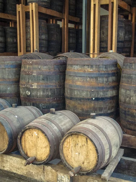 Cachaca Barrels Basement — Stock Photo, Image