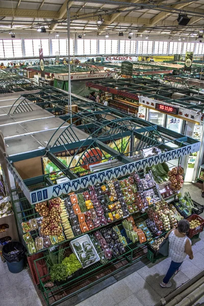 巴拉那州 2018年1月03日 客户在库里市市场内活动 位于中央地区的首都巴拉那州 巴西南部地区 — 图库照片