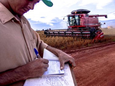Meto Grosso, Brezilya, 01 Mart 2008. Bir grupta Mato Grosso, kitle soya hasat