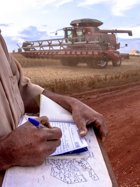 Meto Grosso Brazil March 2008 Mass Soybean Harvesting Farm Mato — Stock Photo, Image