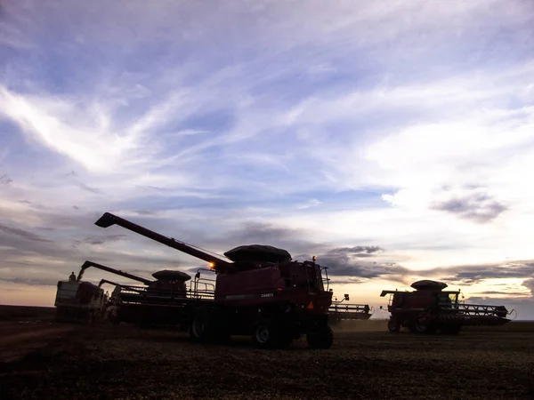 Meto Grosso Brazílie Březen 2008 Masové Sóji Sklizeň Farmě Mato — Stock fotografie