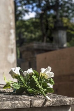 Brezilya'da bir Katolik mezar üzerinde doğal çiçekler