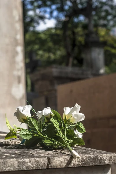 Fleurs Naturelles Sur Une Tombe Catholique Brésil — Photo