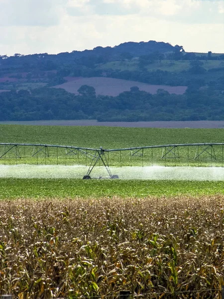 irrigation system watering a farm field of corn and soy, in Brazil