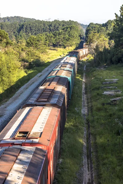 Σάο Πάολο Βραζιλία Φεβρουαρίου 2017 Άποψη Της Εμπορευματικής Αμαξοστοιχίας Που — Φωτογραφία Αρχείου