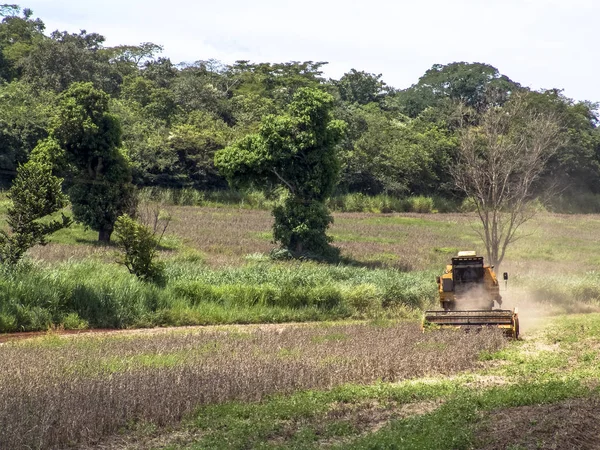 Minas Gerais Brasile Marzo 2005 Vecchi Raccolti Combinati Campo Soia — Foto Stock