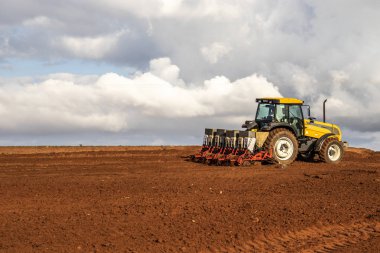 Herculandia, Sao Paulo, Brezilya, 29 Eylül 2019 Herculandia County 'de bir çiftliğe fıstık ekimi
