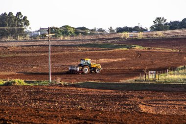 Herculandia, Sao Paulo, Brezilya, 29 Eylül 2019 Herculandia County 'de bir çiftliğe fıstık ekimi