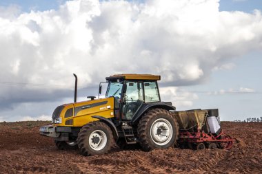 Herculandia, Sao Paulo, Brezilya, 29 Eylül 2019 Herculandia County 'de bir çiftliğe fıstık ekimi