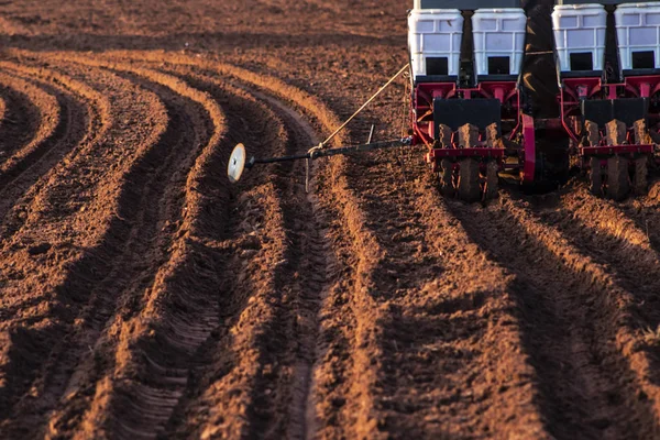 Herculandia Sao Paulo Brazil September 2019 Mechanized Planting Peanuts Farm — Stock Photo, Image