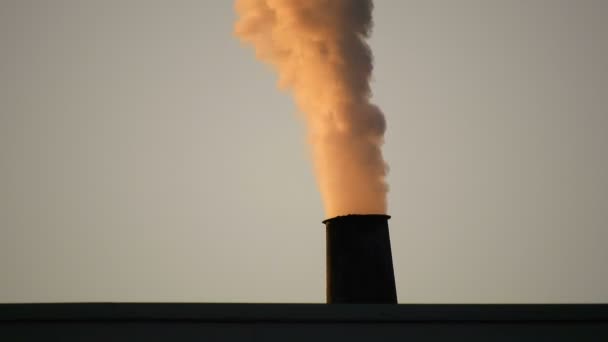 巴西一家工厂的烟囱在冒烟 — 图库视频影像