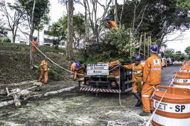 Sao Paulo, SP, Brezilya, 11 Ekim 2017. Belediye çalışanları, Sao Paulo 'nun güneyindeki Vila Mariana mahallesindeki Manuel Vaz de Toledo Meydanı' nda ağaç kesme işlemini üstlendiler.