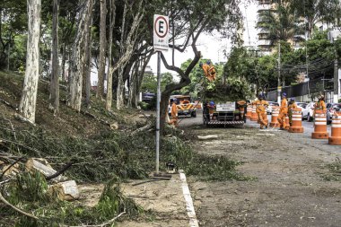 Sao Paulo, SP, Brezilya, 11 Ekim 2017. Belediye çalışanları, Sao Paulo 'nun güneyindeki Vila Mariana mahallesindeki Manuel Vaz de Toledo Meydanı' nda ağaç kesme işlemini üstlendiler.