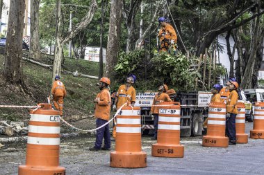Sao Paulo, SP, Brezilya, 11 Ekim 2017. Belediye çalışanları, Sao Paulo 'nun güneyindeki Vila Mariana mahallesindeki Manuel Vaz de Toledo Meydanı' nda ağaç kesme işlemini üstlendiler.