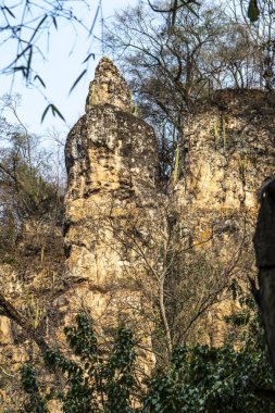 Kaya oluşumu, Brezilya 'nın Sao Paulo eyaletindeki Ocaucu belediyesinde Taş Kulesi veya Tanrı' nın Parmağı olarak bilinen kumtaşından oluşur.