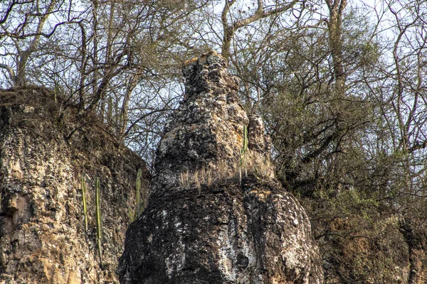 Σχηματισμός Βράχου Που Αποτελείται Από Ψαμμίτη Γνωστή Πέτρινος Πύργος Δάχτυλο — Φωτογραφία Αρχείου