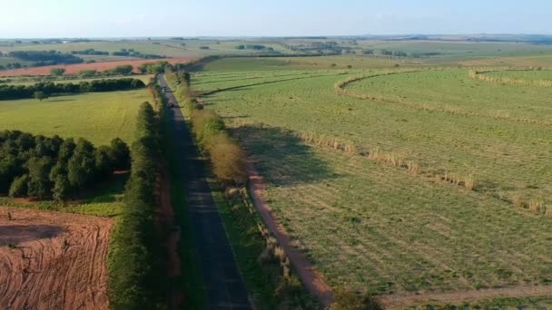 ブラジルのサトウキビ畑 牧草地 田舎道の空中ビュー — ストック動画