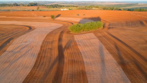 Mechanized Planting Peanuts Farm Herculandia County Brazil — Stock Video