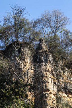 Kaya oluşumu, Brezilya 'nın Sao Paulo eyaletindeki Ocaucu belediyesinde Taş Kulesi veya Tanrı' nın Parmağı olarak bilinen kumtaşından oluşur.