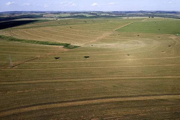 Luchtfoto Van Een Drone Van Een Kleine Pindafabriek Het Veld — Stockfoto