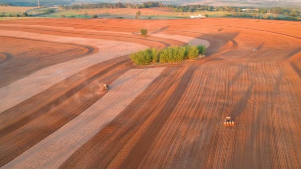 Marilia Sao Paulo Brasil Octubre 2019 Siembra Mecanizada Cacahuetes Una — Vídeos de Stock