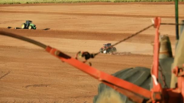 2019年10月24日 巴西圣保罗 马里利亚 农民在农场用拖拉机犁地种植花生 — 图库视频影像