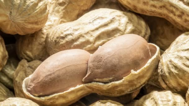 Cacahuetes Aislados Sobre Fondo Grano Macros Cacahuete — Vídeo de stock