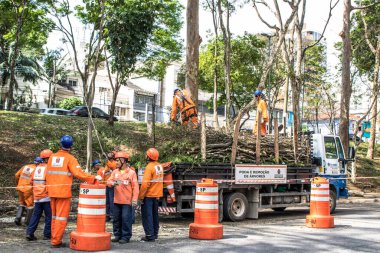 Sao Paulo, SP, Brezilya, 11 Ekim 2017. Belediye çalışanları, Sao Paulo 'nun güneyindeki Vila Mariana mahallesindeki Manuel Vaz de Toledo Meydanı' nda ağaç kesme işlemini üstlendiler.