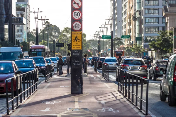 Sao Paulo Brasil Julio 2017 Ruta Ciclista Avenida Paulista Esta — Foto de Stock