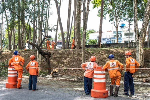 Sao Paulo Brasil Octubre 2017 Trabajadores Municipales Toman Poda Tala —  Fotos de Stock