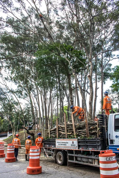 Sao Paulo Brasil Octubre 2017 Trabajadores Municipales Toman Poda Tala —  Fotos de Stock