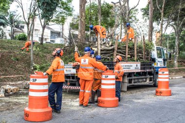 Sao Paulo, SP, Brezilya, 11 Ekim 2017. Belediye çalışanları, Sao Paulo 'nun güneyindeki Vila Mariana mahallesindeki Manuel Vaz de Toledo Meydanı' nda ağaç kesme işlemini üstlendiler.