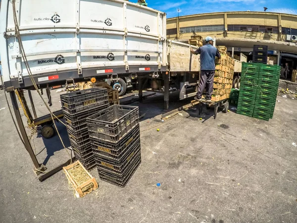 Sao Paulo Brazylia Listopada 2018 Owoce Cytrusowe Rozładowywane Ciężarówki Dziedzińcu — Zdjęcie stockowe