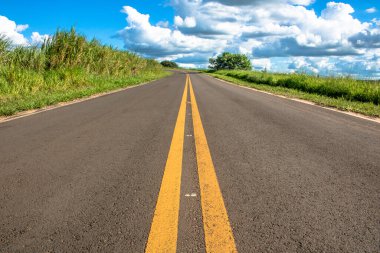 Asfaltlı bir yol üzerindeki yasak geçişlerin yerini gösteren paralel şeritler.