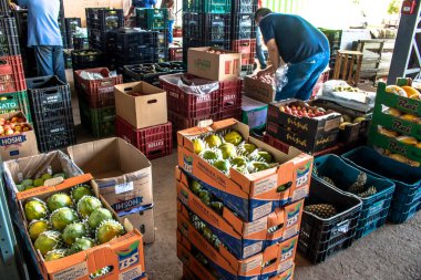 Marilia, Sao Paulo, Brezilya, 24 Mart 2019. Meyveler ve sebzeler Marilia 'daki CEAGESP' de Sao Paulo eyaletinin orta batı bölgesinde satılmaktadır.