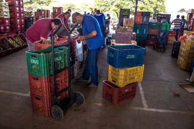 Marilia, Sao Paulo, Brezilya, 24 Mart 2019. Meyveler ve sebzeler Marilia 'daki CEAGESP' de Sao Paulo eyaletinin orta batı bölgesinde satılmaktadır.