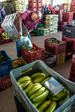 Marilia, Sao Paulo, Brezilya, 24 Mart 2019. Meyveler ve sebzeler Marilia 'daki CEAGESP' de Sao Paulo eyaletinin orta batı bölgesinde satılmaktadır.