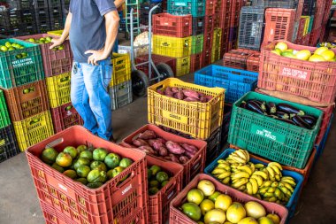 Marilia, Sao Paulo, Brezilya, 24 Mart 2019. Meyveler ve sebzeler Marilia 'daki CEAGESP' de Sao Paulo eyaletinin orta batı bölgesinde satılmaktadır.