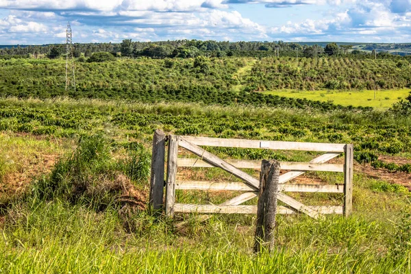 Wooden Gate Entrance Coffee Farm Rural Area Brazil — Stock Photo, Image