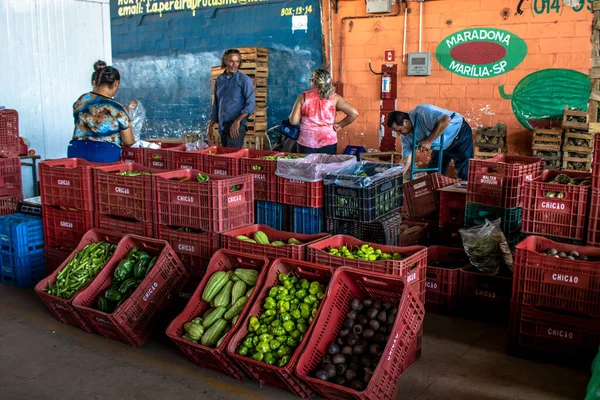 Marilia San Paolo Brasile Marzo 2019 Frutta Verdura Sono Vendute — Foto Stock