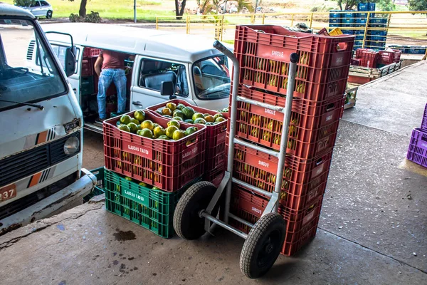 Marilia San Paolo Brasile Marzo 2019 Frutta Verdura Sono Vendute — Foto Stock