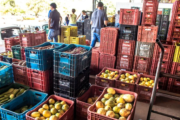 Marilia Sao Paulo Brazil Березня 2019 Фрукти Овочі Продаються Ceagesp — стокове фото