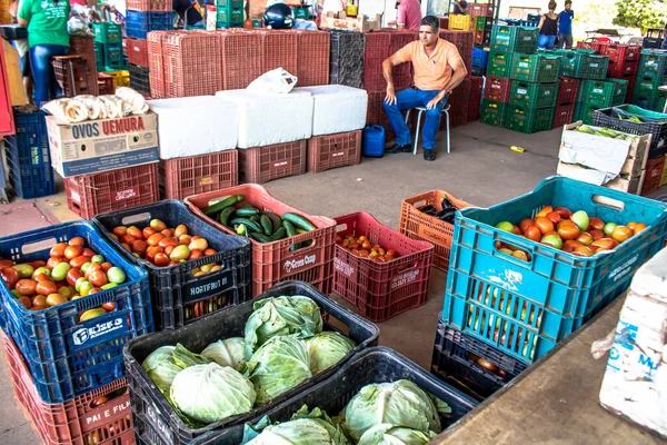 Marilia San Paolo Brasile Marzo 2019 Frutta Verdura Sono Vendute — Foto Stock