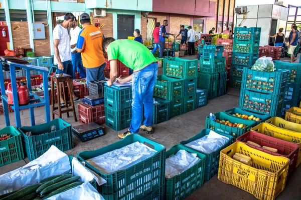 Marilia San Paolo Brasile Marzo 2019 Frutta Verdura Sono Vendute — Foto Stock