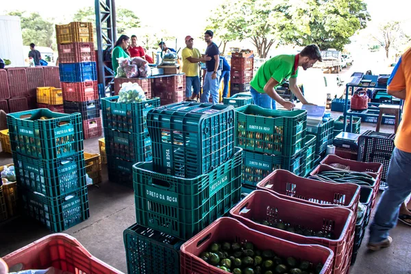 Marilia Sao Paulo Brazílie Března2019 Ovoce Zelenina Prodávají Ceagesp Marilia — Stock fotografie