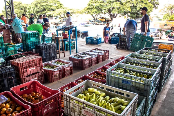 Marilia Sao Paulo Brazil Березня 2019 Фрукти Овочі Продаються Ceagesp — стокове фото