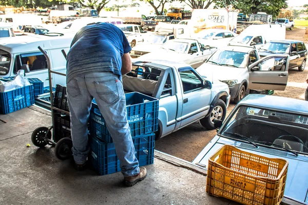 Marilia São Paulo Brasil Março 2019 Frutas Hortaliças São Vendidas — Fotografia de Stock