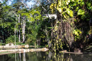 Aguas de Santa Barbara, Sao Paulo, Brezilya, 27 Eylül 2019. Brezilya 'nın Sao Paulo eyaletinin Aguas de Santa Barbara kentindeki belediye sağlık merkezi içindeki bahçeler, köprüler ve rıhtımlar.