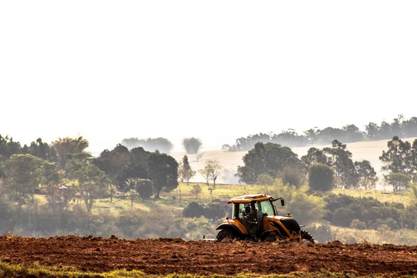 Alvinlandia San Paolo Brasile Maggio 2019 Agricoltore Aratri Con Suo — Foto Stock