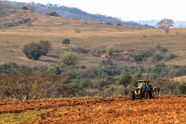 Alvinlandia San Paolo Brasile Maggio 2019 Agricoltore Aratri Con Suo — Foto Stock